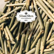 Harambe Preroll | Sativa-Hybrid